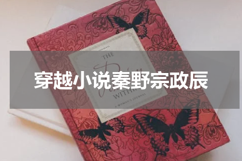 穿越小说秦野宗政辰