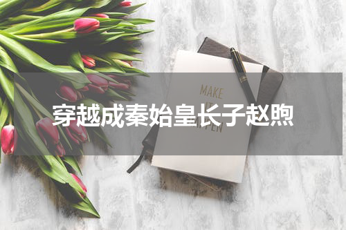 穿越成秦始皇长子赵煦