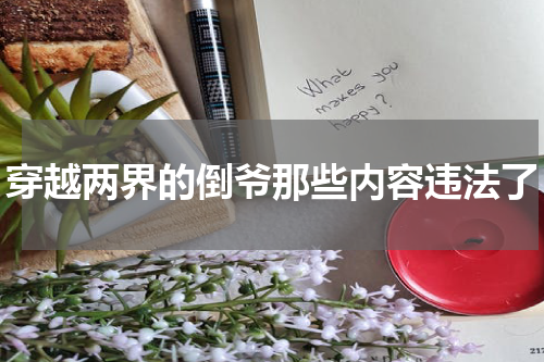 穿越两界的倒爷那些内容违法了