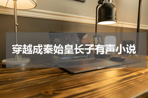穿越成秦始皇长子有声小说