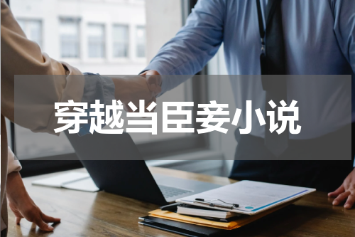 穿越当臣妾小说