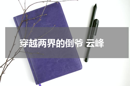 穿越两界的倒爷 云峰