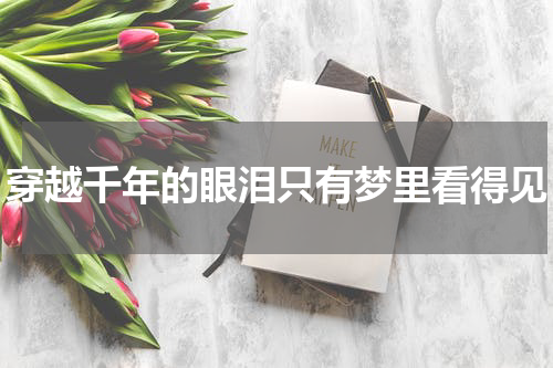 穿越千年的眼泪只有梦里看得见