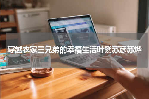 穿越农家三兄弟的幸福生活叶紫苏彦苏烨