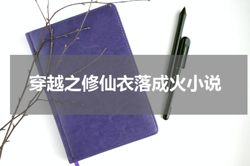 穿越之修仙衣落成火小说