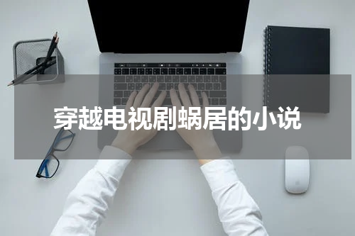 穿越电视剧蜗居的小说