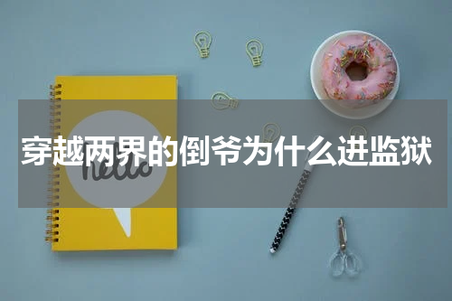 穿越两界的倒爷为什么进监狱