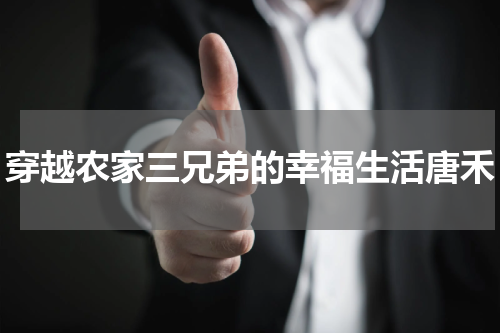 穿越农家三兄弟的幸福生活唐禾