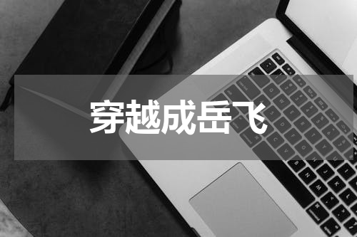 穿越成岳飞