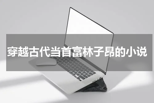 穿越古代当首富林子昂的小说