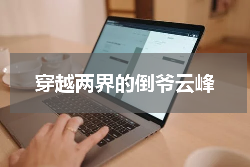 穿越两界的倒爷云峰