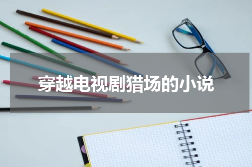 穿越电视剧猎场的小说