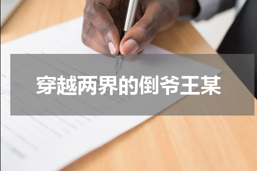 穿越两界的倒爷王某