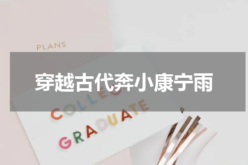 穿越古代奔小康宁雨