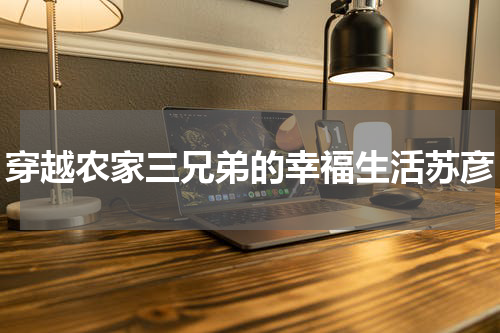 穿越农家三兄弟的幸福生活苏彦