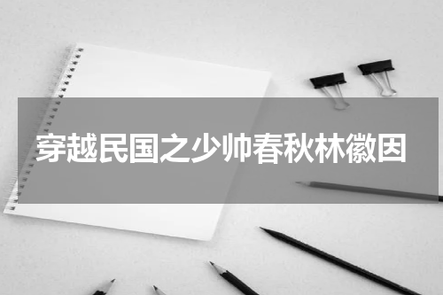 穿越民国之少帅春秋林徽因