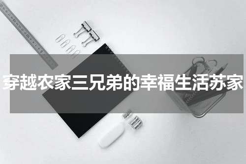 穿越农家三兄弟的幸福生活苏家