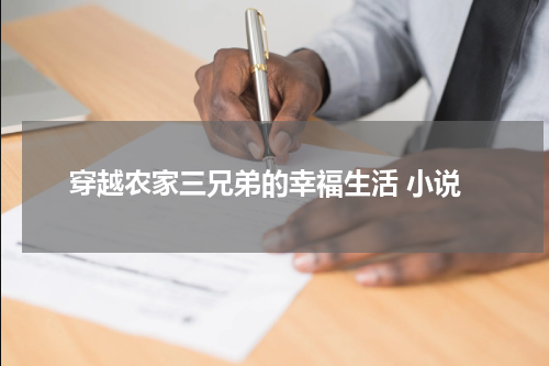 穿越农家三兄弟的幸福生活 小说