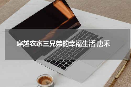 穿越农家三兄弟的幸福生活 唐禾