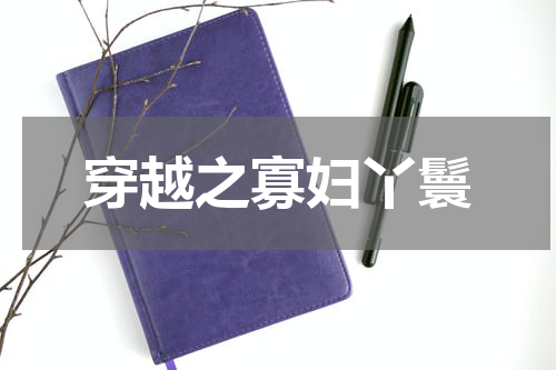 穿越之寡妇丫鬟