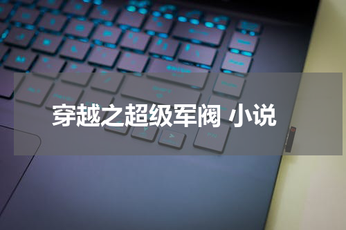 穿越之超级军阀 小说