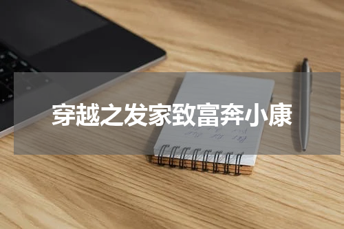 穿越之发家致富奔小康
