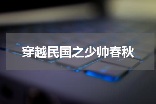 穿越民国之少帅春秋