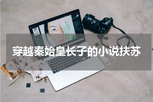 穿越秦始皇长子的小说扶苏