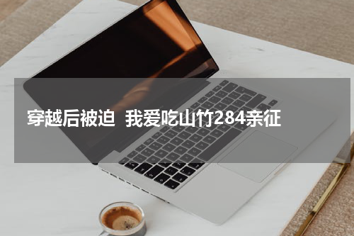 穿越后被迫  我爱吃山竹284亲征