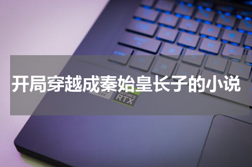 开局穿越成秦始皇长子的小说