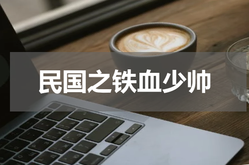 民国之铁血少帅