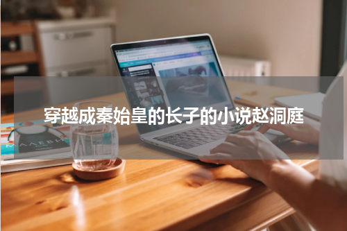 穿越成秦始皇的长子的小说赵洞庭