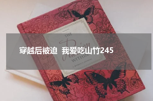 穿越后被迫  我爱吃山竹245