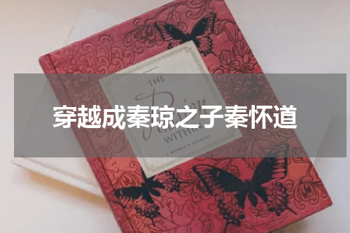 穿越成秦琼之子秦怀道