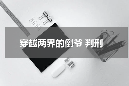 穿越两界的倒爷 判刑