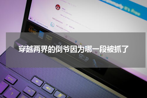 穿越两界的倒爷因为哪一段被抓了