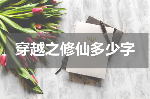 穿越之修仙多少字
