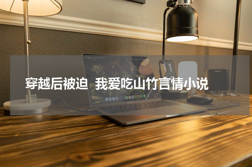 穿越后被迫  我爱吃山竹言情小说