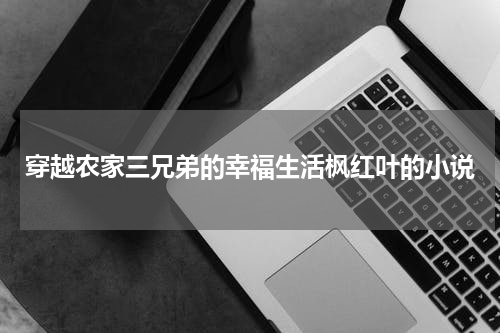 穿越农家三兄弟的幸福生活枫红叶的小说