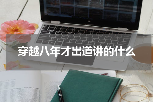 穿越八年才出道讲的什么