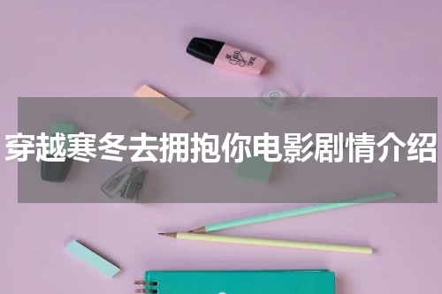 穿越寒冬去拥抱你电影剧情介绍