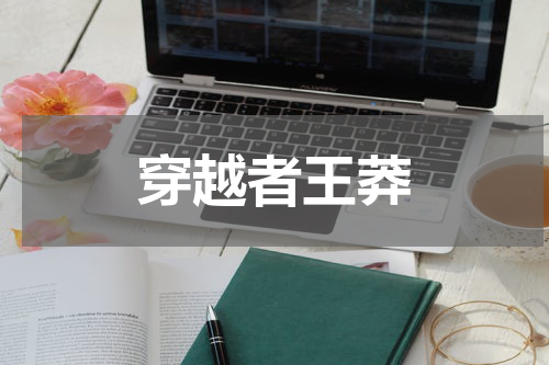 穿越者王莽