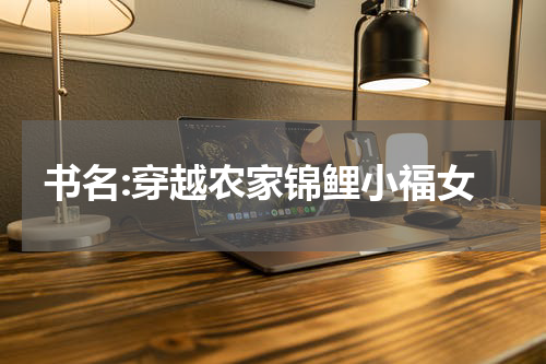 书名:穿越农家锦鲤小福女
