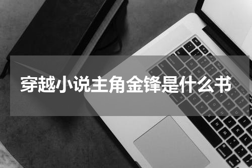 穿越小说主角金锋是什么书