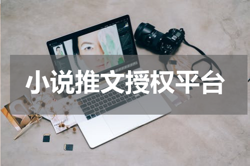 小说推文授权平台