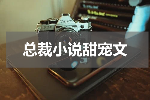 总裁小说甜宠文