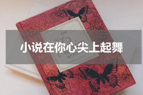 小说在你心尖上起舞