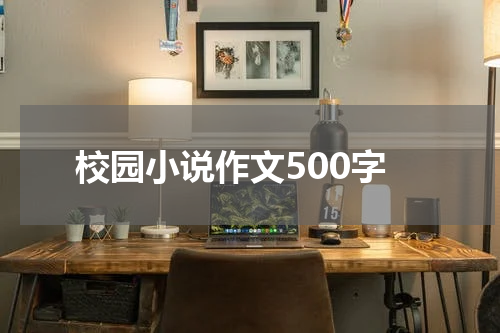 校园小说作文500字