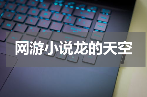 网游小说龙的天空
