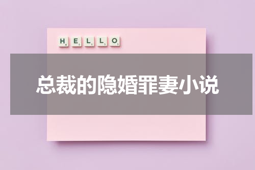 总裁的隐婚罪妻小说